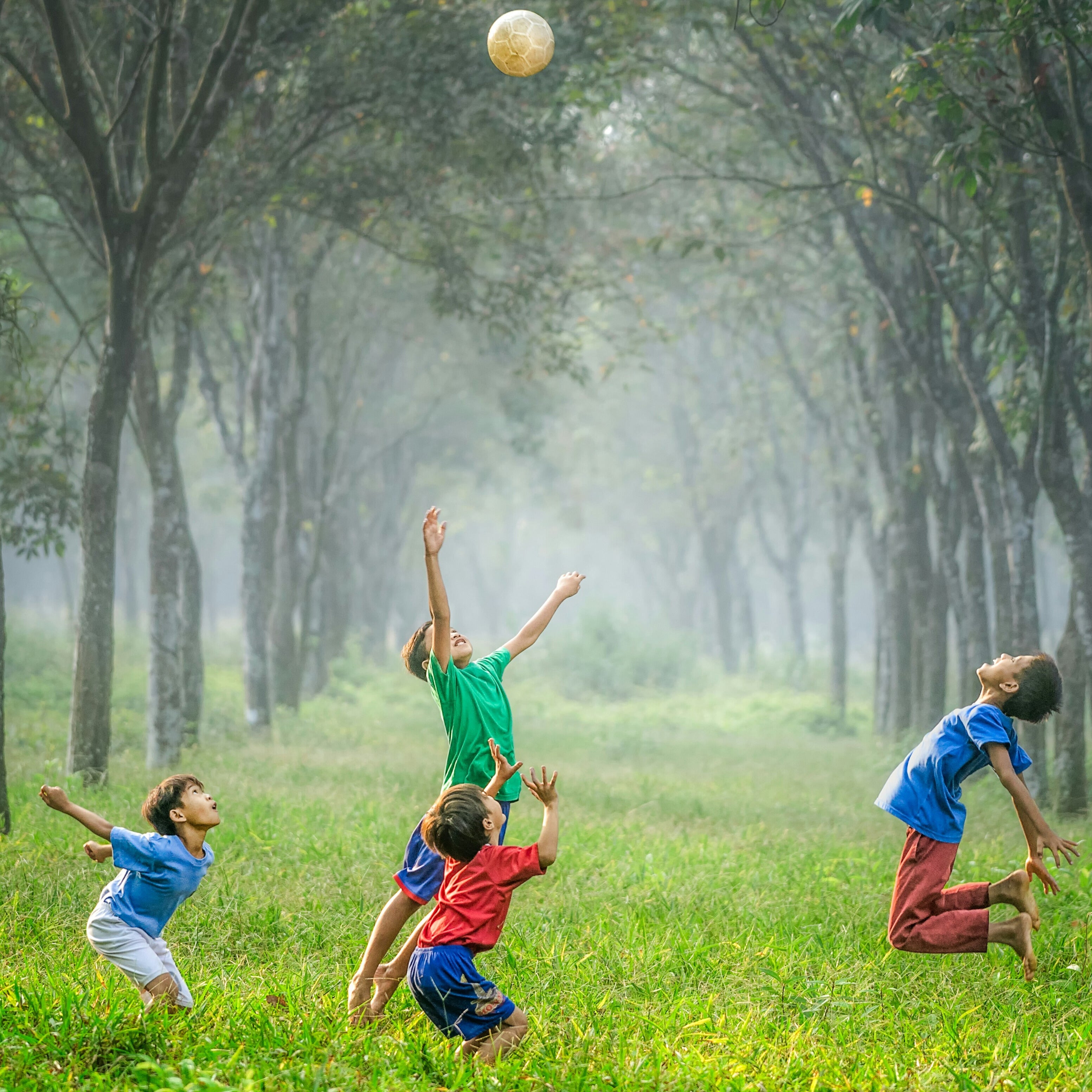 Outdoor Fun