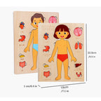 Montessori Wooden Human Body Organs Puzzle – Educational Anatomy Board