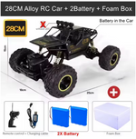 Oike™ RC Off-Road Climbing Vehicle – 4WD