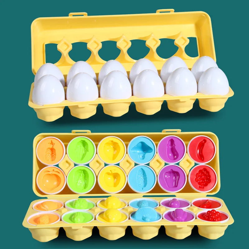 12 Montessori Chicken Matching Eggs