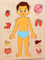 Montessori Wooden Human Body Organs Puzzle – Educational Anatomy Board