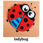 Montessori Wooden Puzzles (6 Pack)