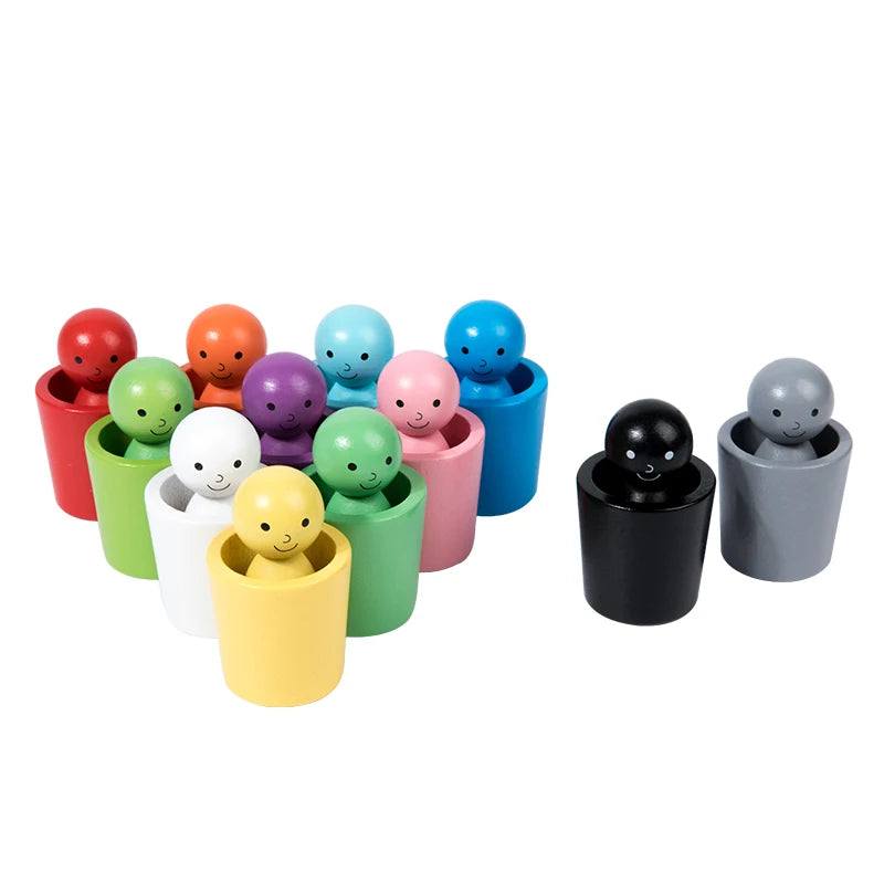 Montessori Wooden Color Sorting Set