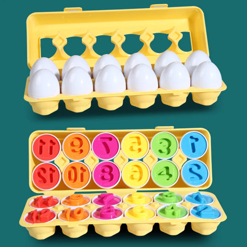 12 Montessori Chicken Matching Eggs