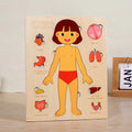 Montessori Wooden Human Body Organs Puzzle – Educational Anatomy Board