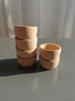 Montessori Sorting Bowls Set