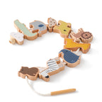 Montessori Baby Sensory Busy Toy Collection