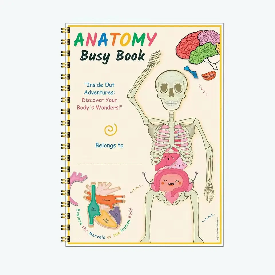 Montessori Human Anatomy Busy Book