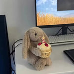 Shy Bonnie Rabbit Plush Doll with Birthday Cake