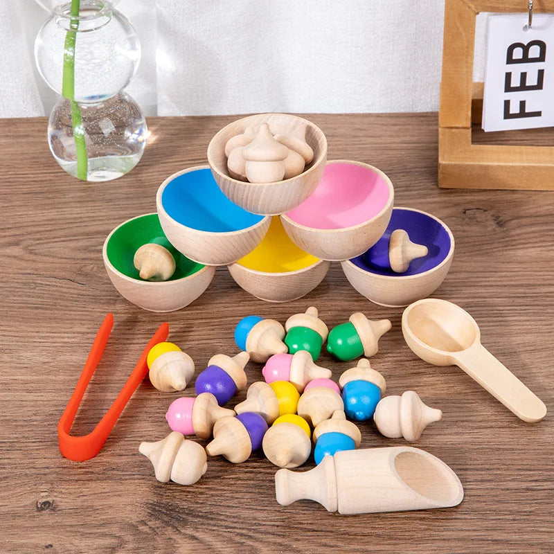 Montessori Wooden Sorting Game