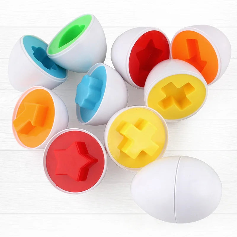 12 Montessori Chicken Matching Eggs