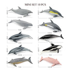 Realistic Ocean Animal Figurines Set