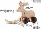 Wooden Pull-Along and Push Toys for Babies