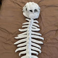 Dinosaur Skeleton Plush Costume for Kids and Adults