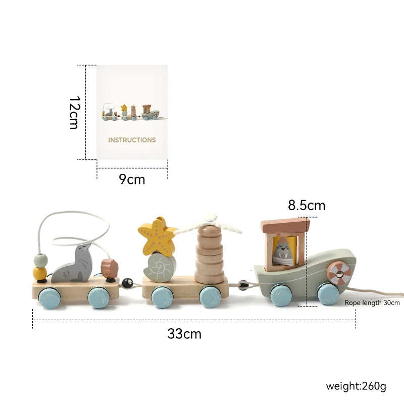 Wooden Pull-Along and Push Toys for Babies