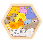 Wooden 3D Cognitive Jigsaw Puzzle
