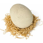 RoboHatch™ – Crack & Reveal Jurassic Fun