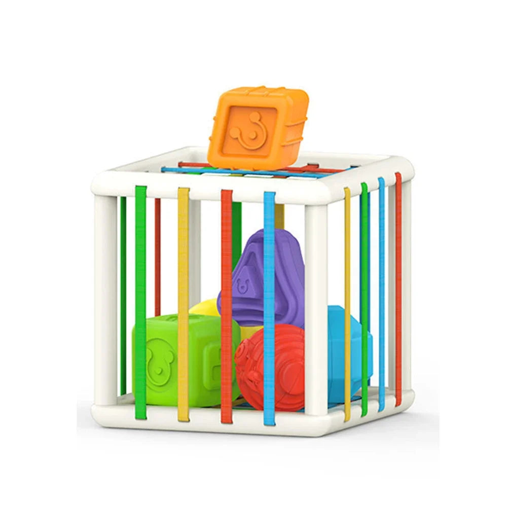 Baby Sorter Toy- Multi Sensory Shapes