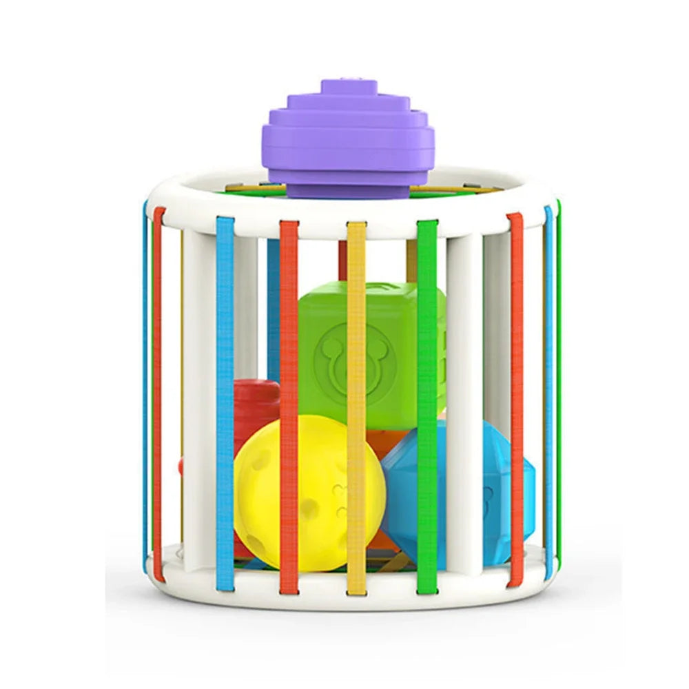 Baby Sorter Toy- Multi Sensory Shapes