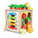 Montessori Wooden Multifunctional Activity Cube
