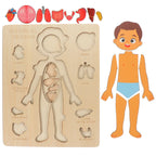 Montessori Wooden Human Body Organs Puzzle