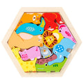 Wooden 3D Cognitive Jigsaw Puzzle