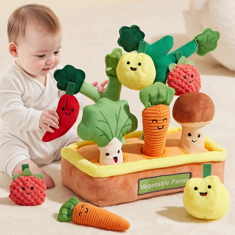 My First Vegetable Garden Toy