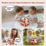 Montessori Wooden Multi-Activity