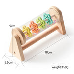 Montessori Rain Stick Rattle