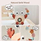 Wooden Pull-Along and Push Toys for Babies
