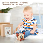 Wooden Pull-Along and Push Toys for Babies