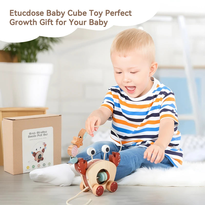 Wooden Pull-Along and Push Toys for Babies