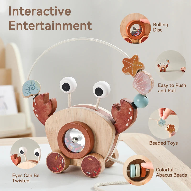 Wooden Pull-Along and Push Toys for Babies