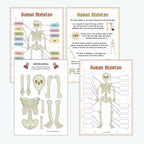 Montessori Human Anatomy Busy Book
