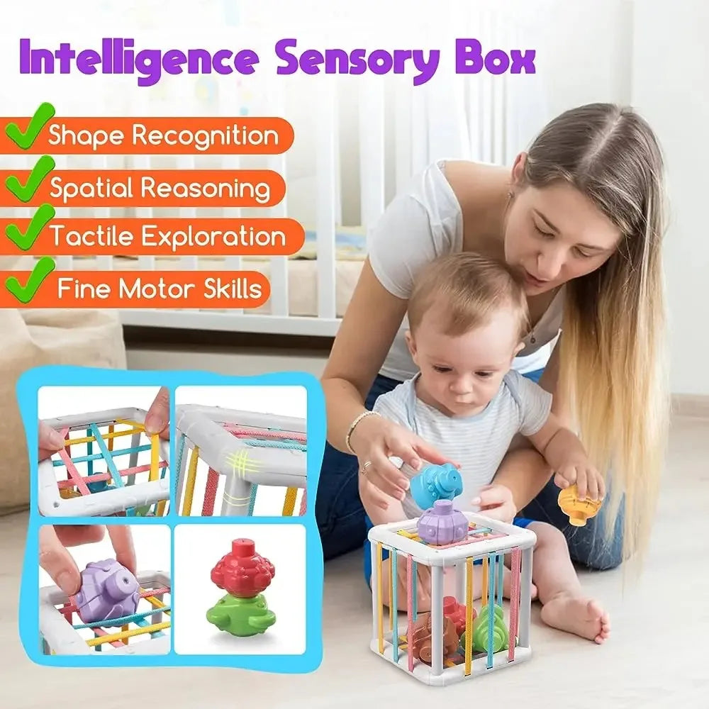 Baby Shape Sorter Cube with Sensory Shapes