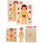Montessori Wooden Human Body Organs Puzzle