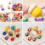 Montessori Wooden Sorting Game