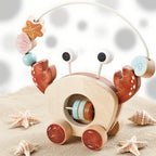 Wooden Pull-Along and Push Toys for Babies