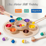 Montessori Wooden Sorting Game