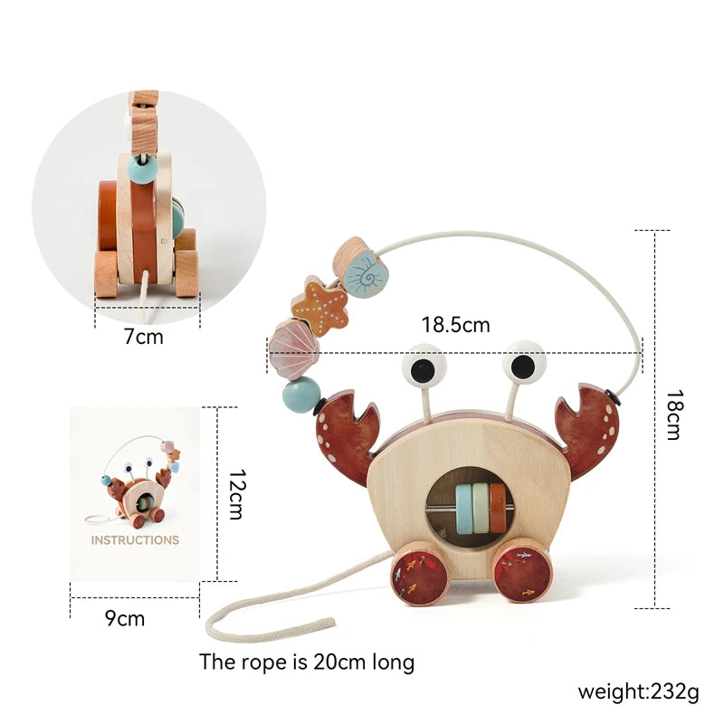 Wooden Pull-Along and Push Toys for Babies