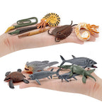 Realistic Ocean Animal Figurines Set