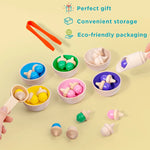 Montessori Wooden Sorting Game