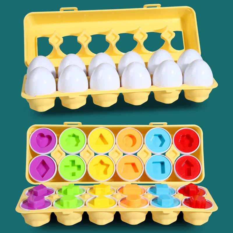 12 Montessori Chicken Matching Eggs