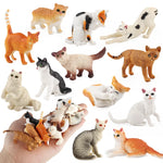 Oenux Montessori Toy