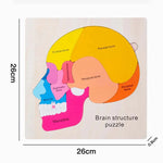 Montessori Wooden Human Body Organs Puzzle – Educational Anatomy Board