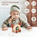 Wooden Pull-Along and Push Toys for Babies