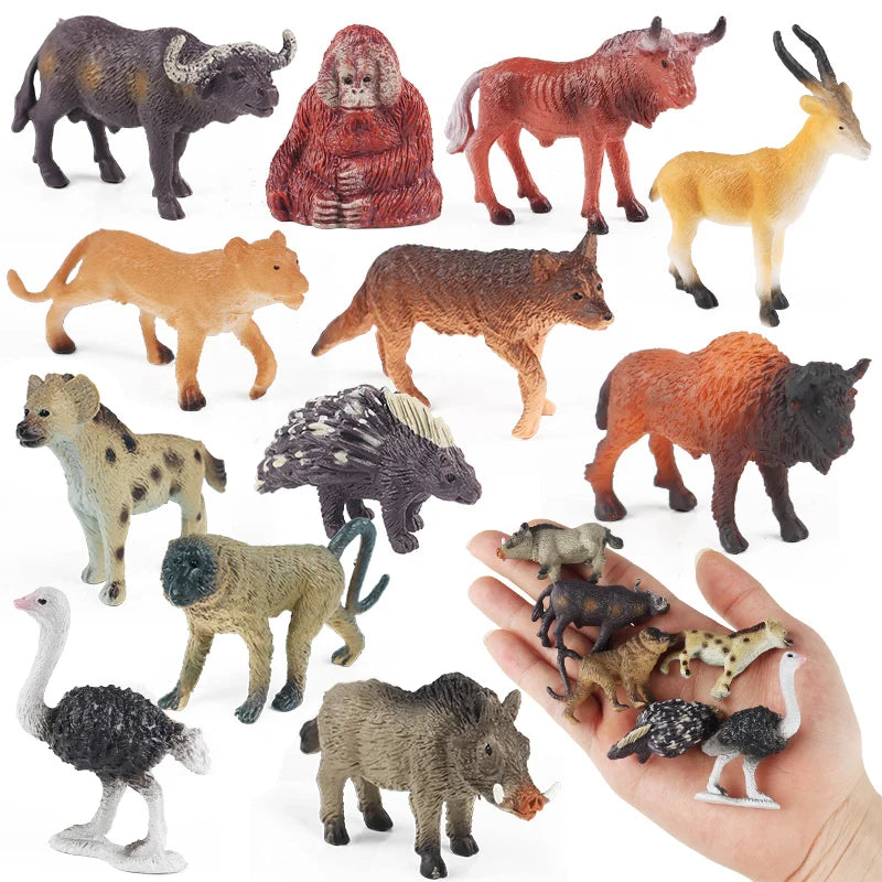 Oenux Montessori Toy