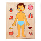 Montessori Wooden Human Body Organs Puzzle – Educational Anatomy Board