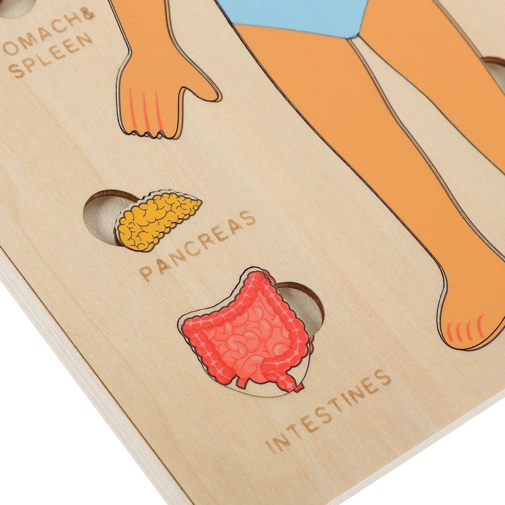 Montessori Wooden Human Body Organs Puzzle – Educational Anatomy Board
