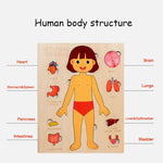 Kids Wooden Montessori Toys